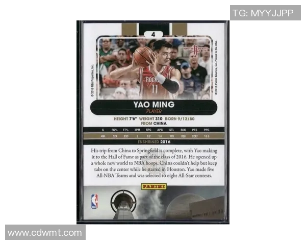 姚明分享大学经历与篮球梦想的交汇点与人生启示 姚明分享大学经历与篮球梦想的交汇点与人生启示