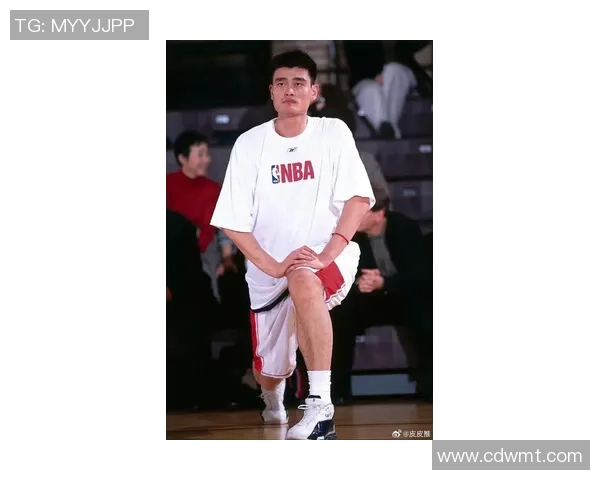 姚明飞翔在蓝天之上精美飞机壁纸带你领略篮球巨星的魅力与风采