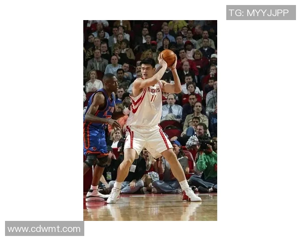 探索姚明的传奇人生与篮球成就全景揭秘