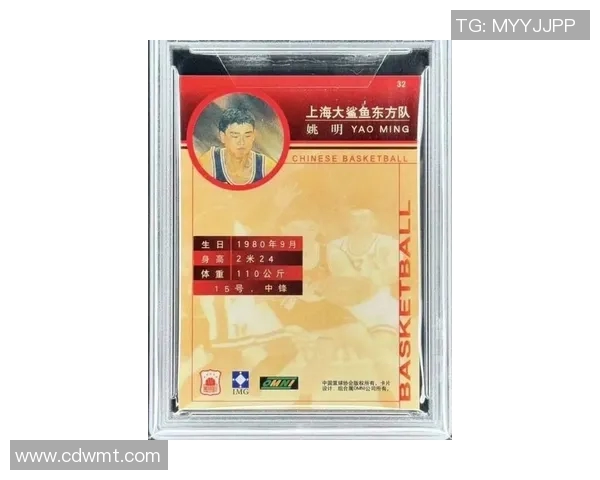 河南息县姚明的篮球梦想与家乡发展的美好未来