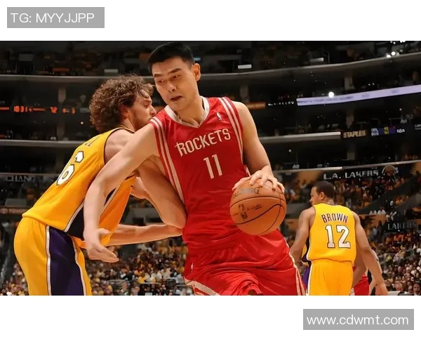 新秀姚明队友的成长之路与NBA传奇的交织故事