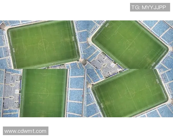 黎族足球明星全景展示与成就回顾汇总