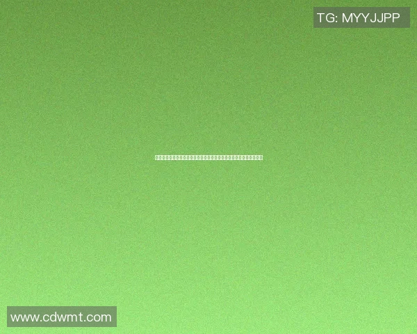 篮球大师全明星版全新赛季开启带你体验最真实的篮球对决与激情挑战